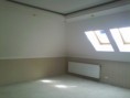 /album/fotogaljerjeja/img-20130327-190610-jpg1/